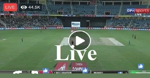 How about live cricket score warm up match cricbuzz?